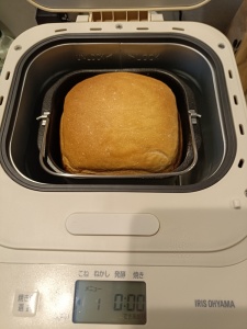 1000005505